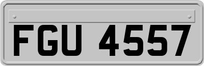 FGU4557