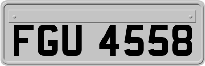 FGU4558