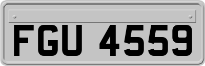 FGU4559