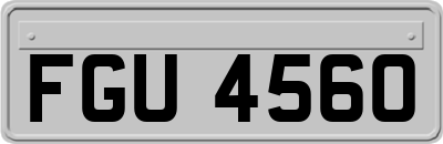 FGU4560