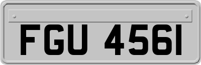 FGU4561