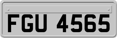 FGU4565