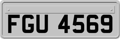 FGU4569