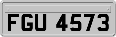 FGU4573