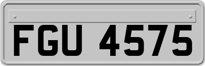 FGU4575