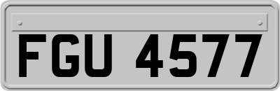 FGU4577