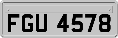 FGU4578