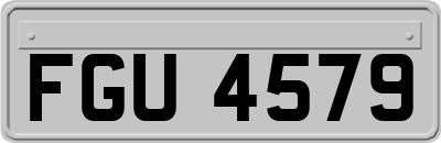 FGU4579