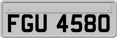 FGU4580