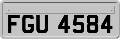 FGU4584