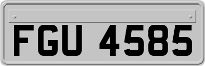 FGU4585