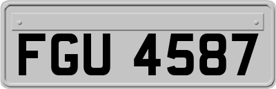 FGU4587