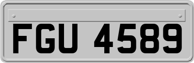 FGU4589