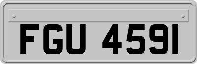 FGU4591