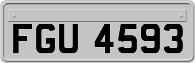 FGU4593