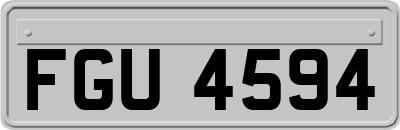 FGU4594