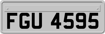 FGU4595
