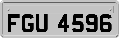 FGU4596