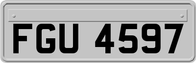 FGU4597