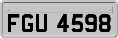 FGU4598