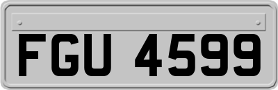 FGU4599