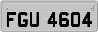 FGU4604