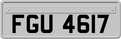 FGU4617