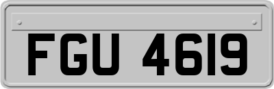 FGU4619