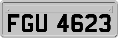 FGU4623