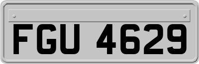 FGU4629