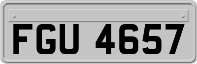 FGU4657