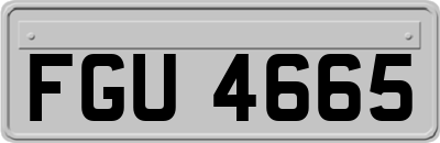 FGU4665