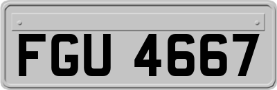 FGU4667