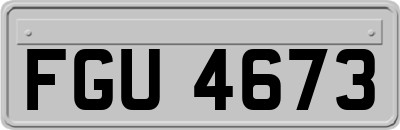 FGU4673
