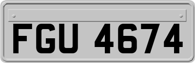 FGU4674