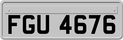 FGU4676