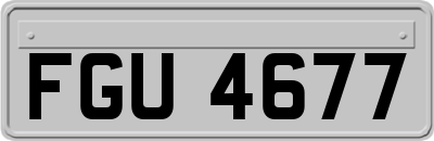FGU4677