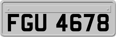 FGU4678