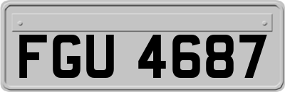 FGU4687