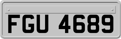 FGU4689