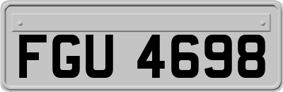 FGU4698