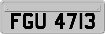 FGU4713
