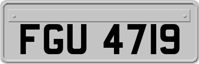 FGU4719