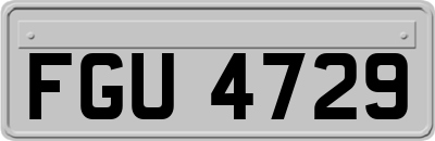 FGU4729