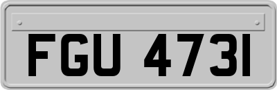 FGU4731