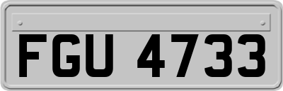 FGU4733