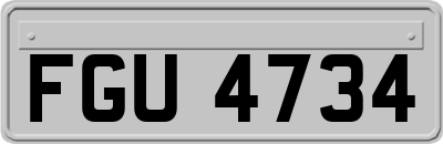 FGU4734