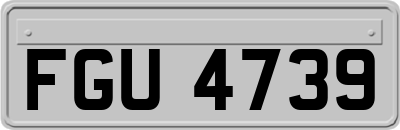 FGU4739