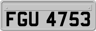 FGU4753