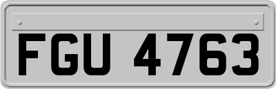 FGU4763